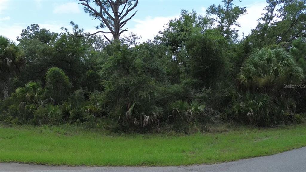 A densely wooded, undeveloped residential lot sits behind a grassy roadside verge — 1388 CLEARVIEW DRIVE, PORT CHARLOTTE, FL