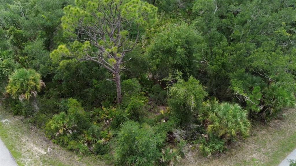 An aerial view shows a wooded, undeveloped residential lot with dense trees and palmettos — 1388 CLEARVIEW DRIVE, PORT CHARLOTTE, FL