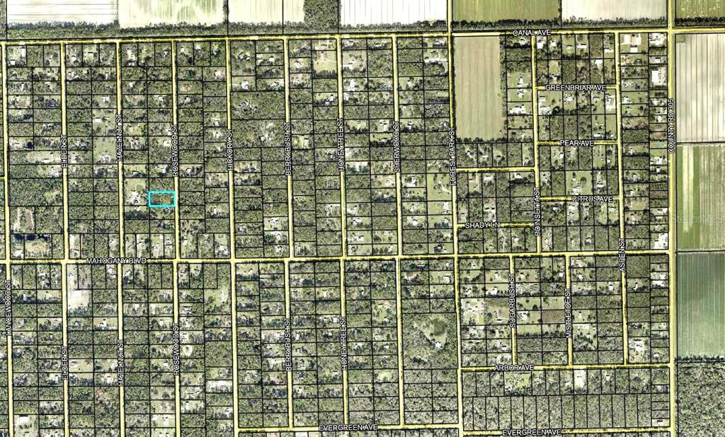 This is an aerial map showing a grid of residential lots and streets — 1352 ROSEWOOD STREET, BUNNELL, FL