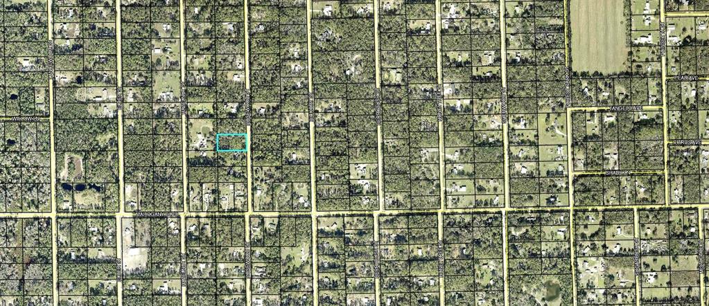 This is an aerial map showing a rectangular property parcel highlighted in blue — 1352 ROSEWOOD STREET, BUNNELL, FL