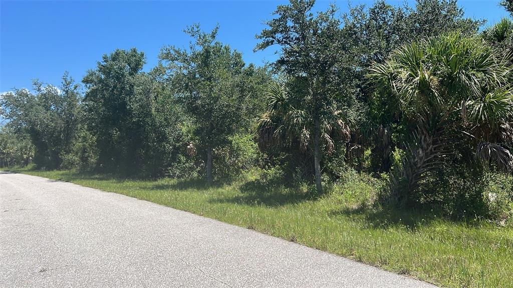 A paved road runs alongside a wooded lot with trees and palm plants — 7262 RIVERTON CIRCLE, PORT CHARLOTTE, FL