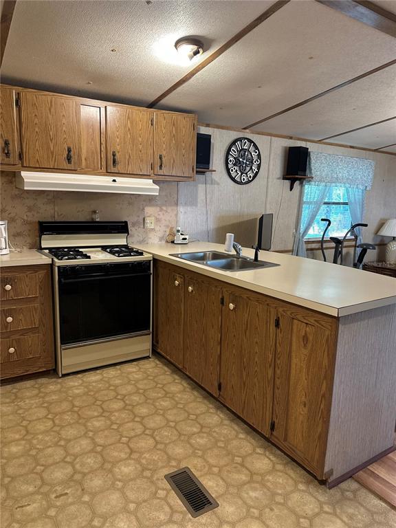 A kitchen with wood cabinets, a white stove, a double sink, and patterned vinyl flooring — 13059 NE 44TH LANE, SILVER SPRINGS, FL