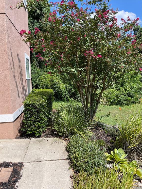 A pink stucco building wall stands next to a blooming crape myrtle tree and landscaping — 7617 BAY PORT ROAD UNIT 57, ORLANDO, FL
