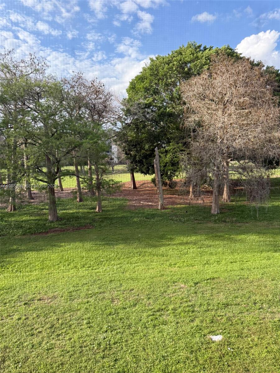 A grassy lawn leads to a wooded area with several trees under a blue sky — 4136 Inverrary Dr # 15C, Lauderhill FL 33319, LAUDERHILL, FL