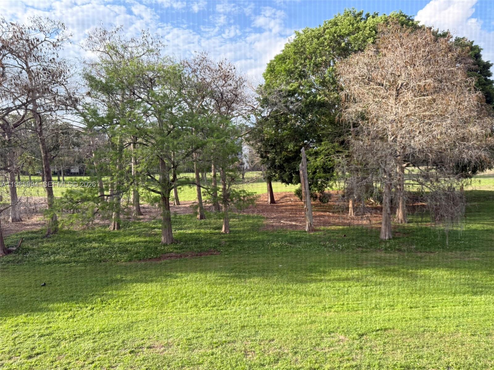 A grassy lawn leads to a cluster of trees with varying foliage under a blue sky — 4136 Inverrary Dr # 15C, Lauderhill FL 33319, LAUDERHILL, FL