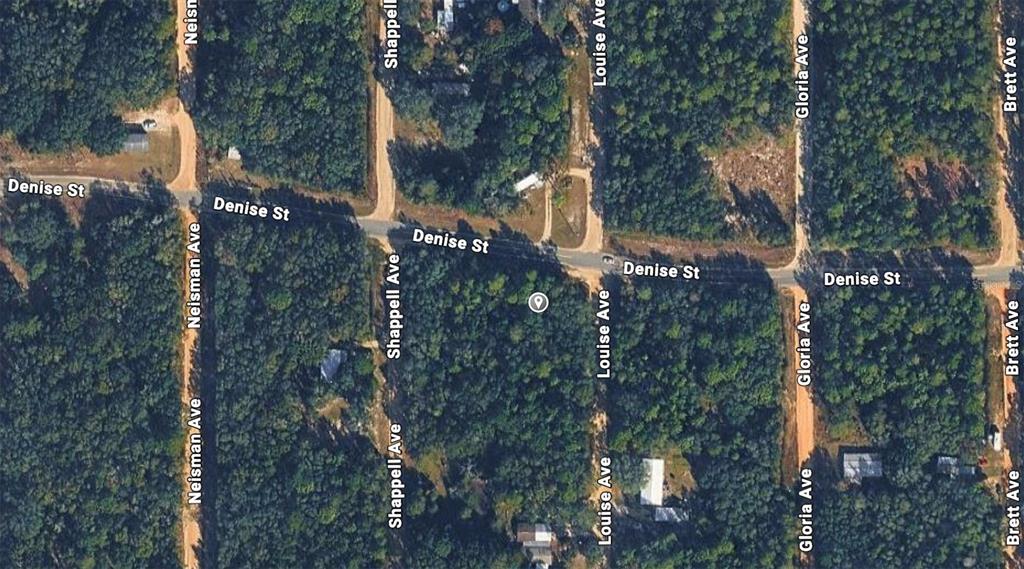 This is an aerial map view showing a grid of streets intersecting with Denise Street — INTERLACHEN LAKES ESTATES, INTERLACHEN, FL