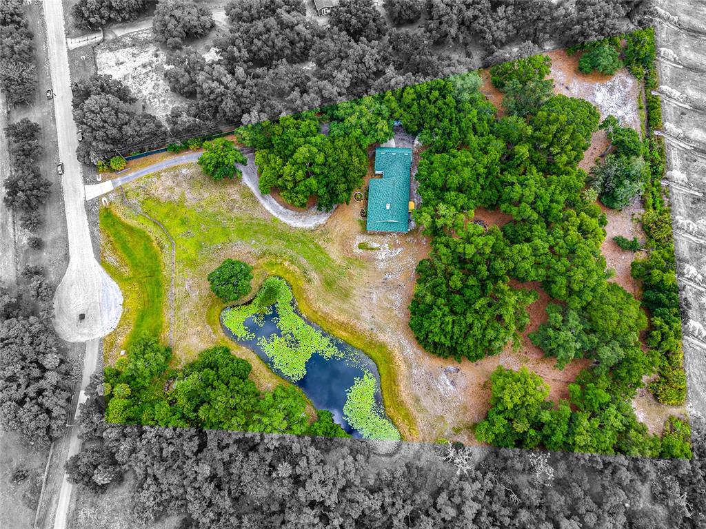 An aerial view shows a house surrounded by trees, a pond, and open fields — 14705 MOSSY HAMMOCK LANE, MYAKKA CITY, FL