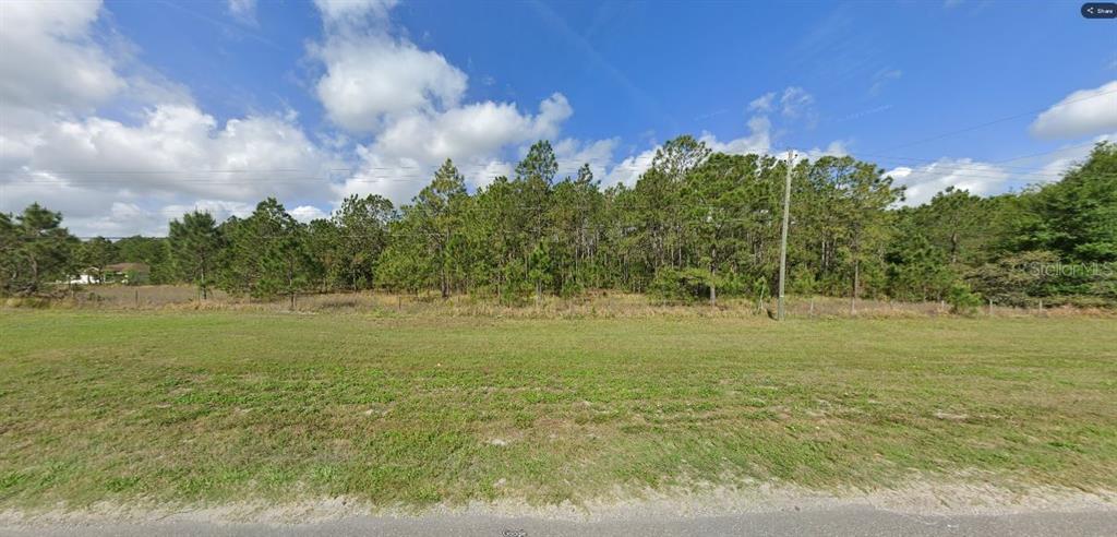 A grassy, vacant lot features a line of pine trees under a blue, cloudy sky — COMMONWEALTH AVE N, POLK CITY, FL