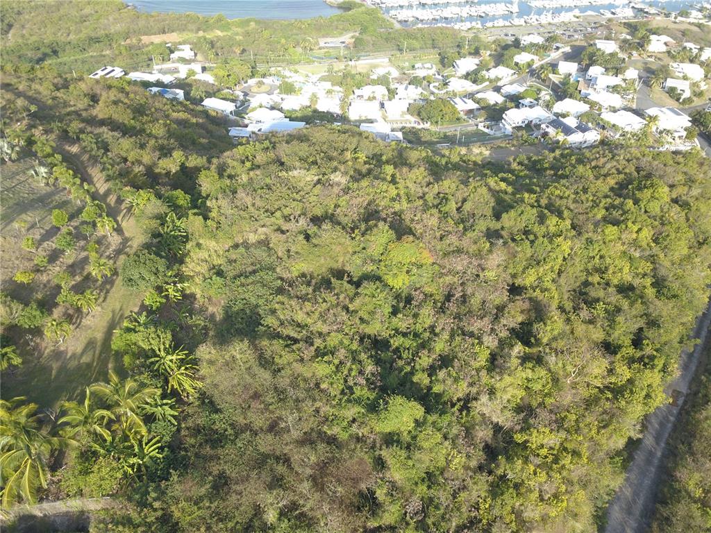 An aerial view shows a dense, wooded hillside sloping down toward a residential coastal community — Lot #66 LAS GAVIOTAS CARRETERA 3, CEIBA, FAJARDO 00738 CROSSROAD, FAJARDO, PR