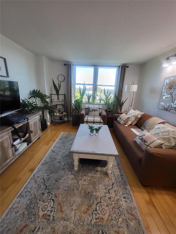 A living room features a brown sofa, a coffee table, and several potted plants — 701 S MADISON AVENUE UNIT 414, CLEARWATER, FL