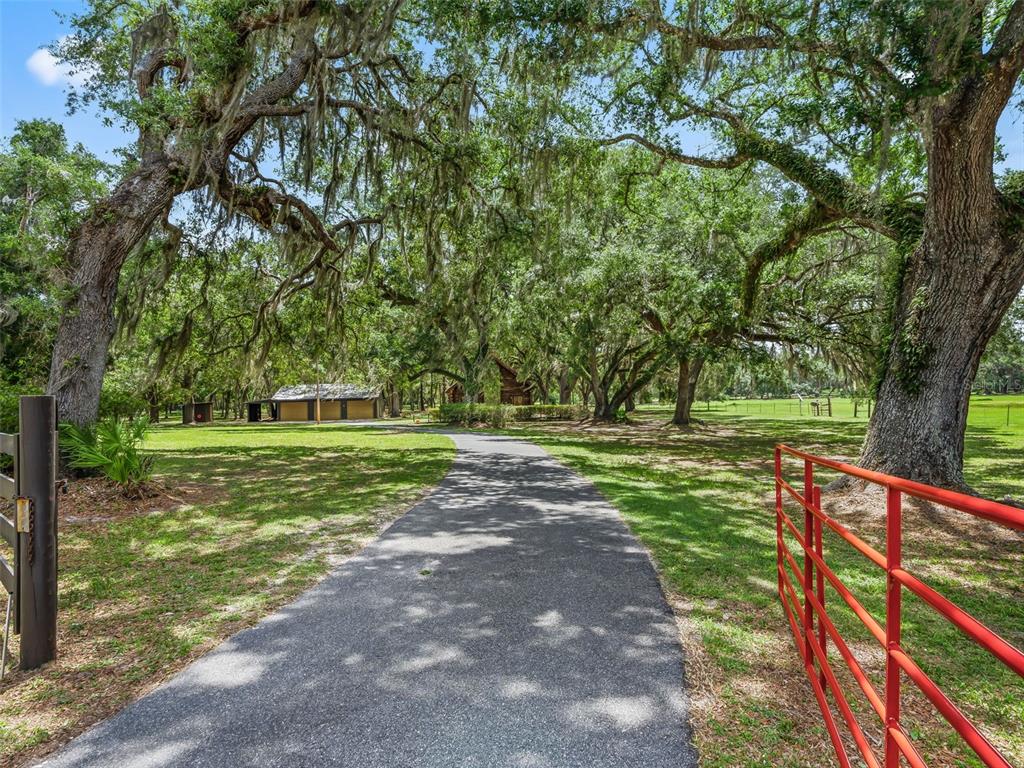 A paved driveway leads through a tree-lined yard toward a house and a detached garage — 4801 COUNTY ROAD 575, BUSHNELL, FL