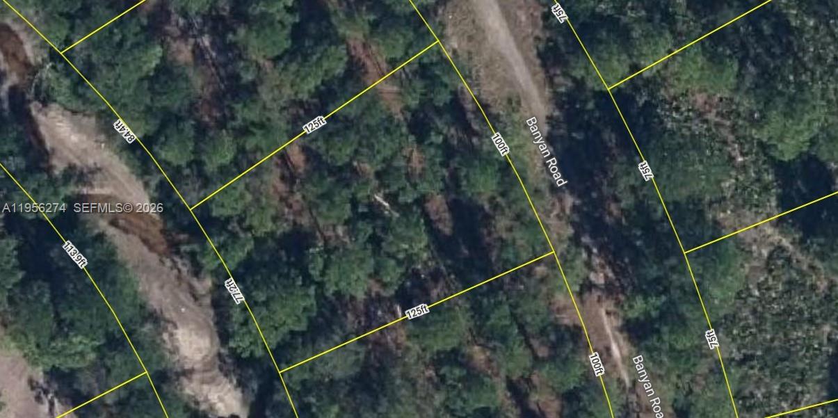 This is an aerial map view of a wooded lot with property lines and dimensions — 6149 BANYAN RD, Sebring FL 33875, SEBRING, FL