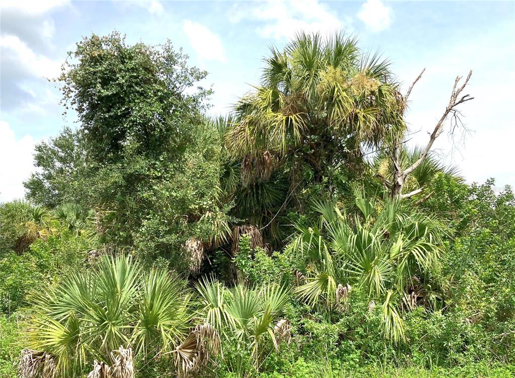 FIVELEAF ROAD, NORTH PORT, FL — photo 2 of 5