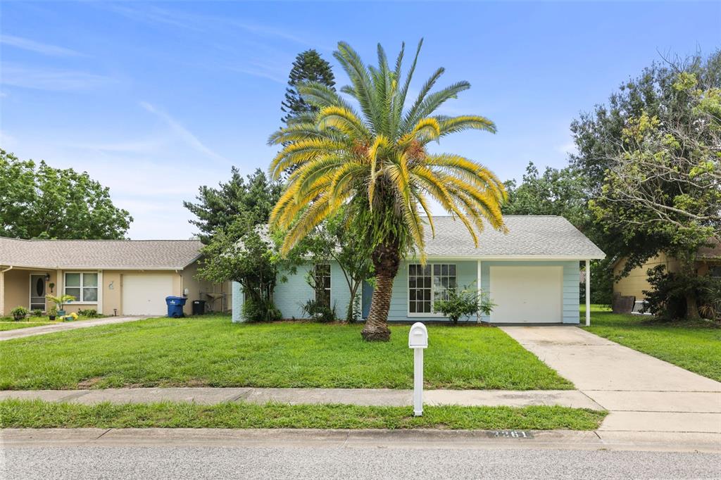 A light blue single-story house with a palm tree in the front yard — 3261 LA VERNE COURT, NEW PORT RICHEY, FL