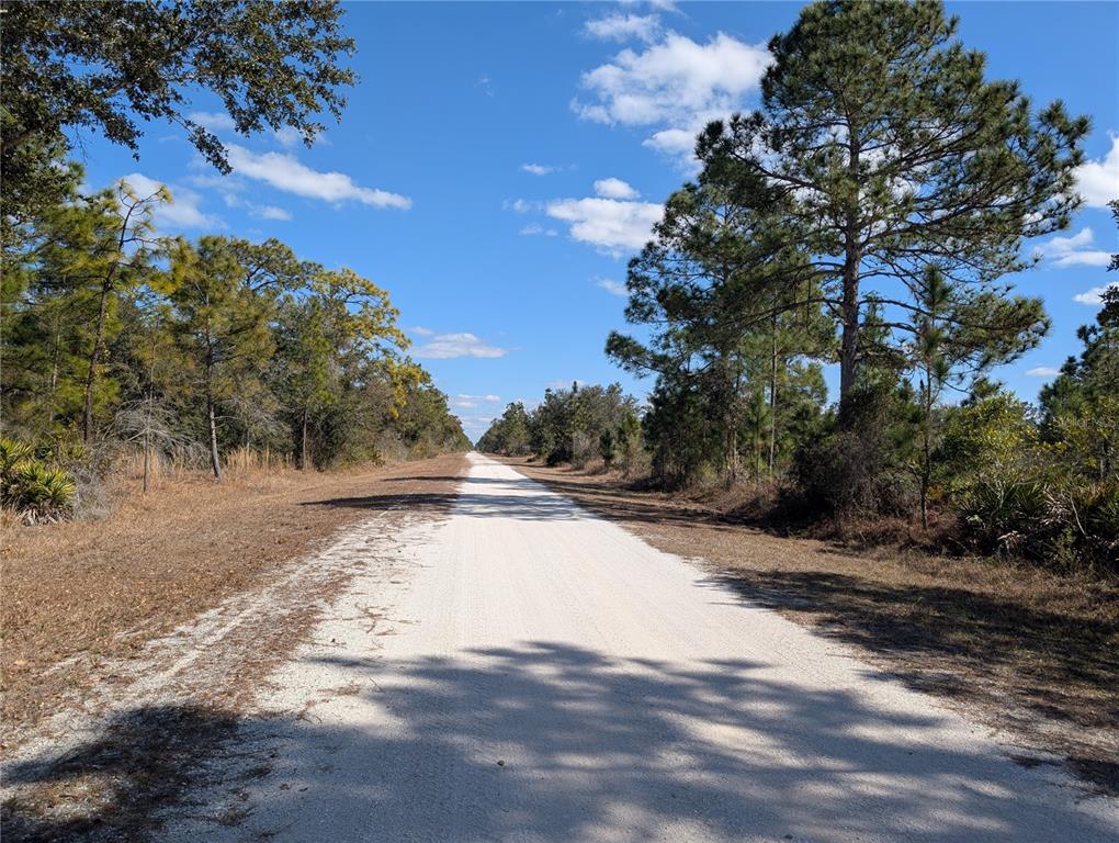 A long, straight dirt road stretches through a wooded area under a blue sky — 711 AZALEA DRIVE, INDIAN LAKE ESTATES, FL