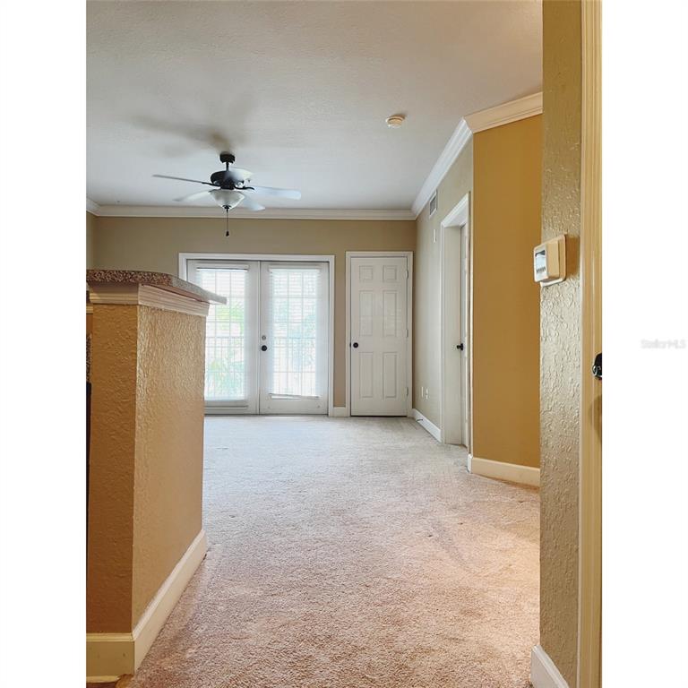 A carpeted room features a ceiling fan, a white door, and glass French doors — 304 E SOUTH STREET UNIT 3019, ORLANDO, FL