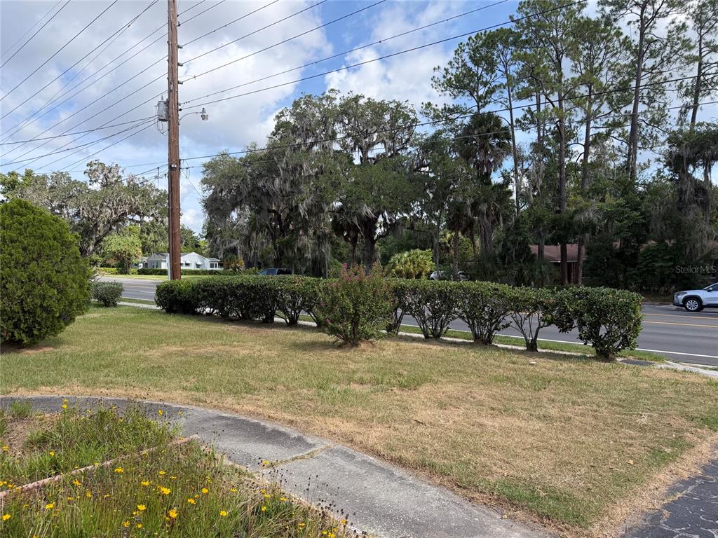 A grassy front yard features a hedge row, a sidewalk, and trees along a road — 1316 SE 17TH STREET, OCALA, FL