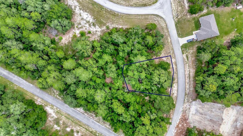An aerial view shows a wooded residential lot outlined in blue along a paved road — WILLMINGTON DRIVE, OCALA, FL