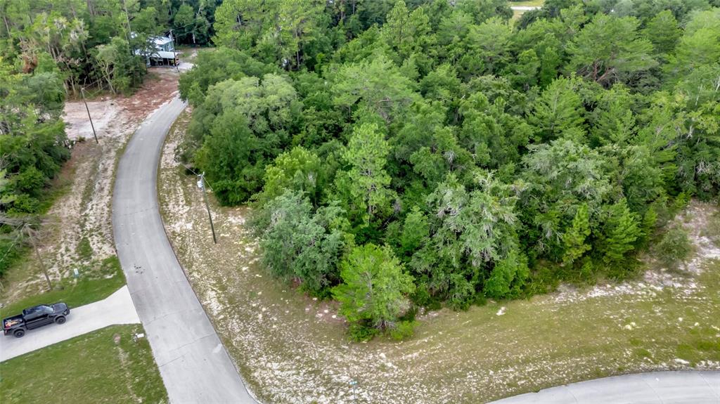 An aerial view shows a wooded, undeveloped corner lot bordered by paved residential streets — WILLMINGTON DRIVE, OCALA, FL