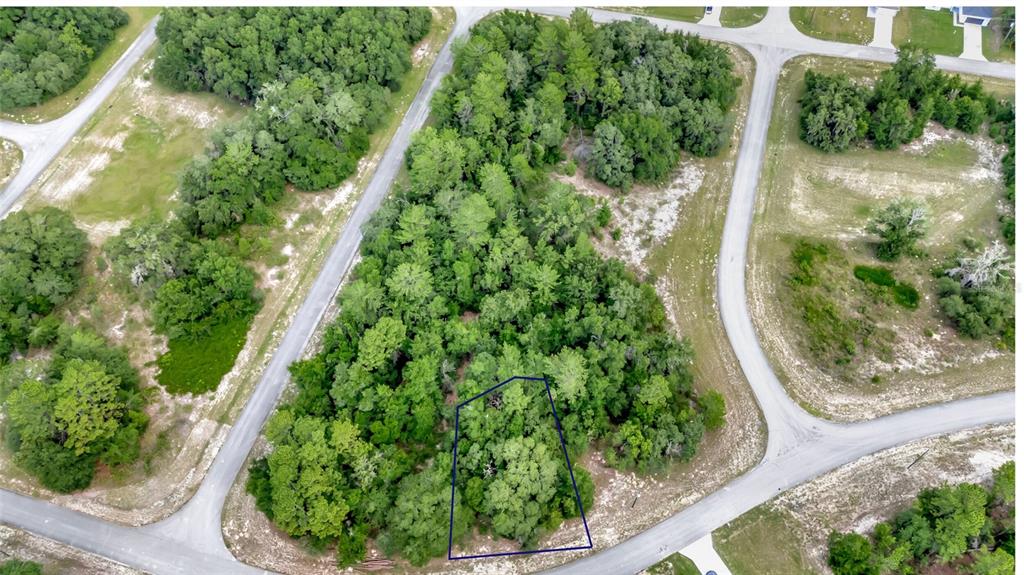 An aerial view shows a wooded, trapezoidal vacant lot outlined in blue along a paved road — WILLMINGTON DRIVE, OCALA, FL