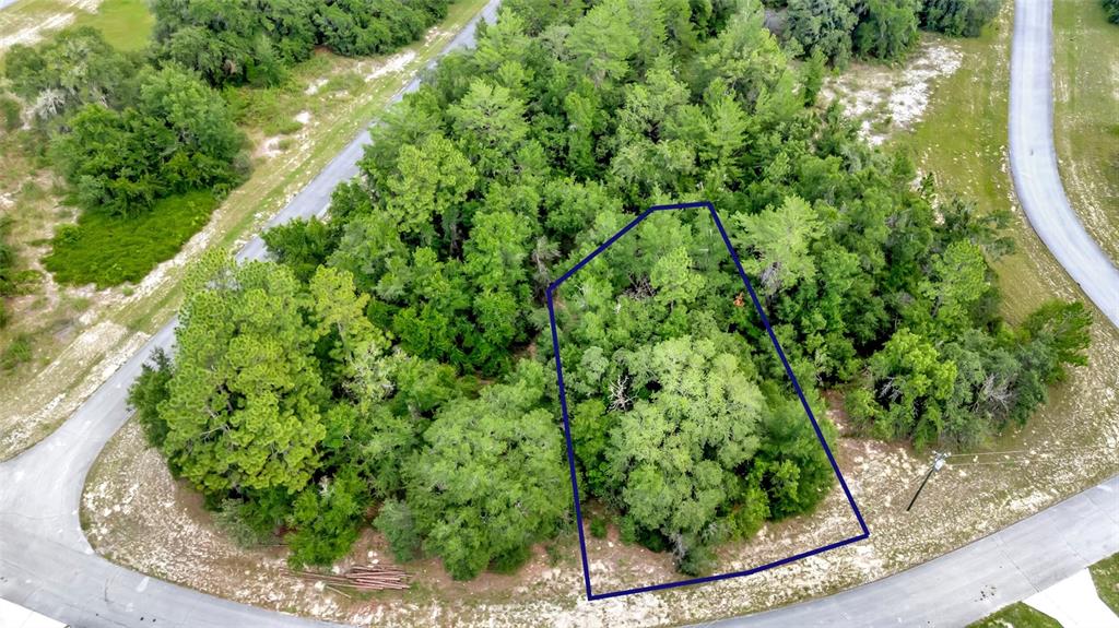 An aerial view shows a wooded, undeveloped lot outlined in blue along a curved road — WILLMINGTON DRIVE, OCALA, FL