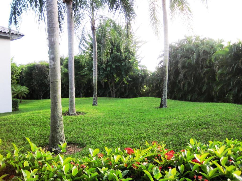 A grassy backyard features several tall palm trees and a dense hedge of green foliage — 11706 Briarwood Circle # 1, Boynton Beach FL 33437, BOYNTON BEACH, FL