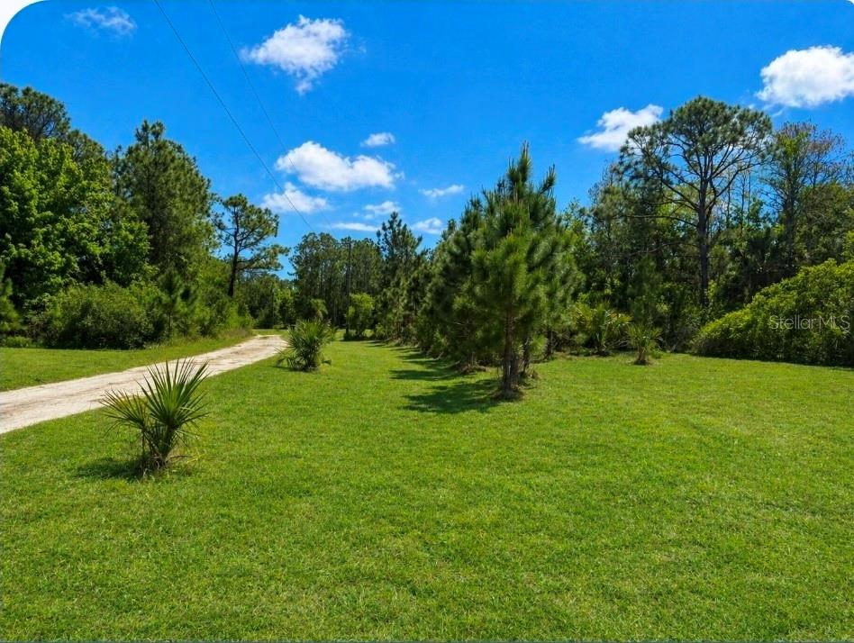 A dirt driveway leads through a grassy lot surrounded by trees under a blue sky — 2625 GLENCOE FARMS ROAD, NEW SMYRNA BEACH, FL