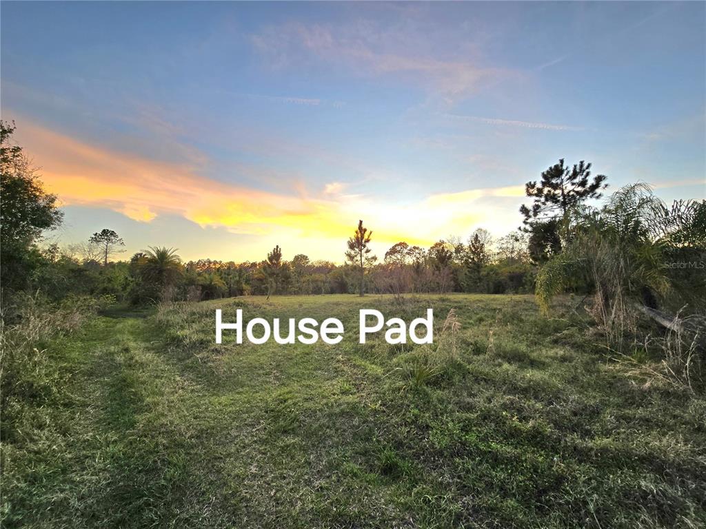 A grassy, cleared area designated as a house pad sits amidst trees at sunset — 2625 GLENCOE FARMS ROAD, NEW SMYRNA BEACH, FL