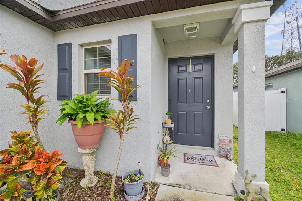 A front entryway features a dark gray door, a potted plant on a pedestal, and landscaping — 10248 CARLOWAY HILLS DRIVE, WIMAUMA, FL
