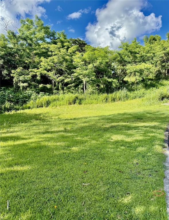 A grassy, sloped lot sits in front of a dense line of trees under a sky — Riverside Gated Community RIVERSIDE STREET, GUAYNABO, PR