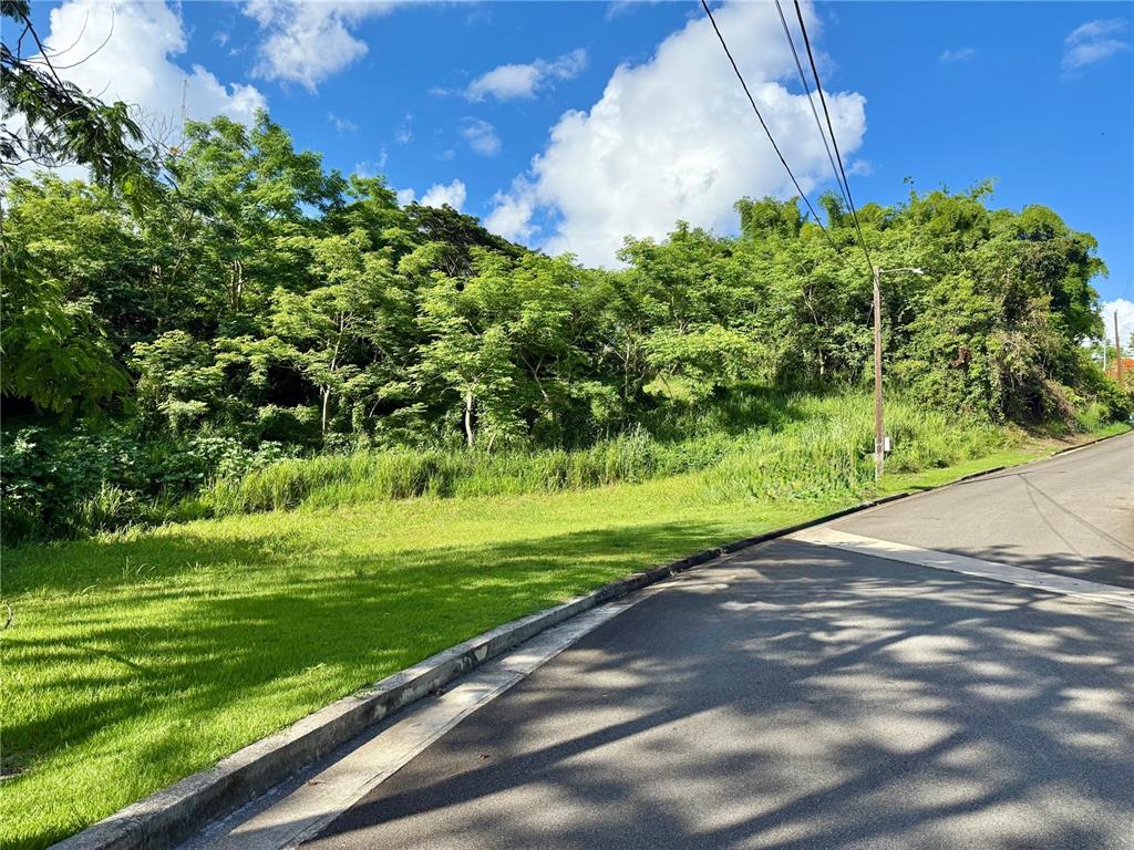 A paved road curves alongside a grassy lot bordered by a dense, wooded hillside — Riverside Gated Community RIVERSIDE STREET, GUAYNABO, PR