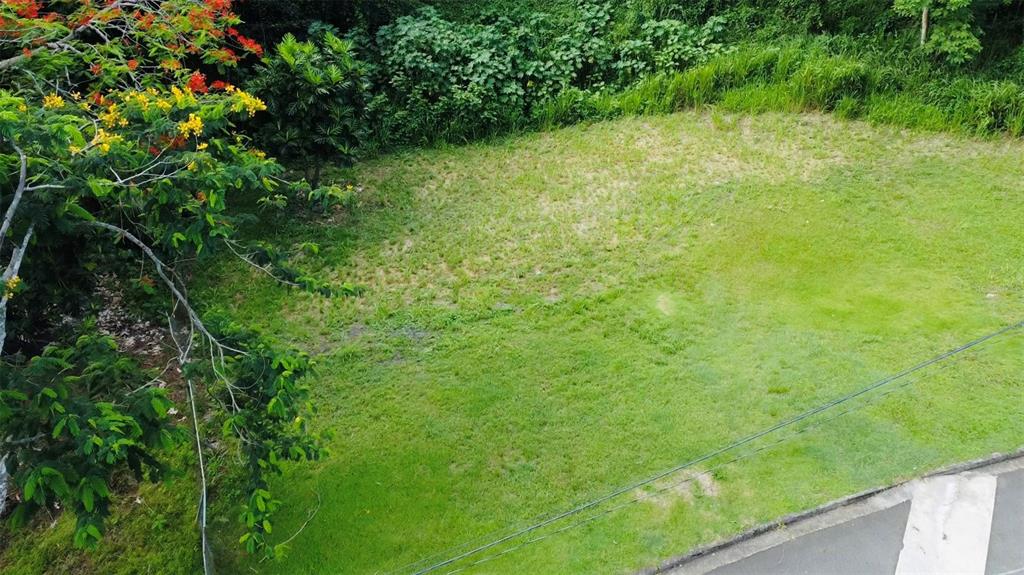 An elevated view of a grassy, undeveloped residential lot bordered by trees and a road — Riverside Gated Community RIVERSIDE STREET, GUAYNABO, PR