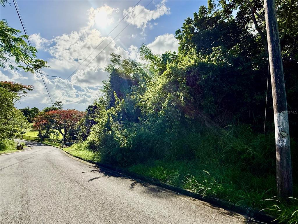 A paved road curves past a densely vegetated, overgrown lot under a sunny sky — Riverside Gated Community RIVERSIDE STREET, GUAYNABO, PR