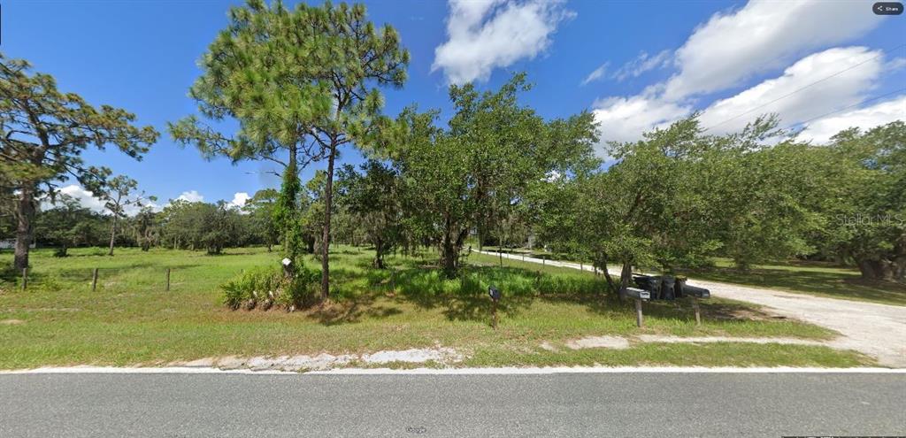A grassy, tree-filled vacant lot sits alongside a paved road with several mailboxes — TIGER LAKE RD, LAKE WALES, FL