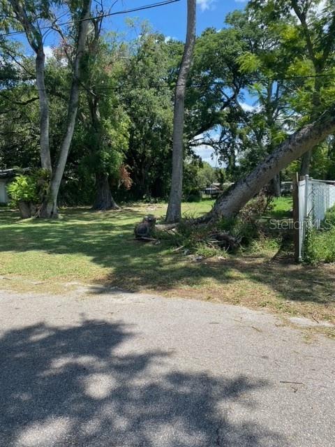 3100 EUNICE AVENUE, ORLANDO, FL — photo 2 of 12