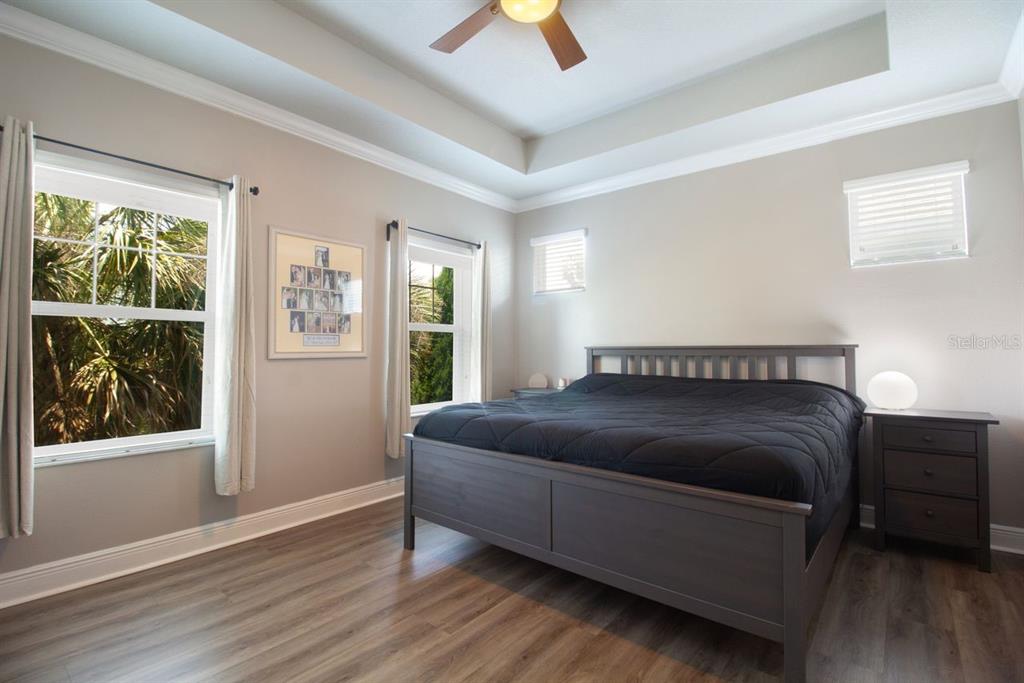A bedroom features a tray ceiling, wood-look flooring, two windows, and a dark wood bed — 14501 PROMENADE PARKWAY, ODESSA, FL