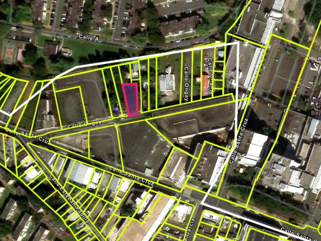 This is an aerial map showing a highlighted property parcel outlined in pink — 19 CALLE ONGAY, BAYAMON, PR