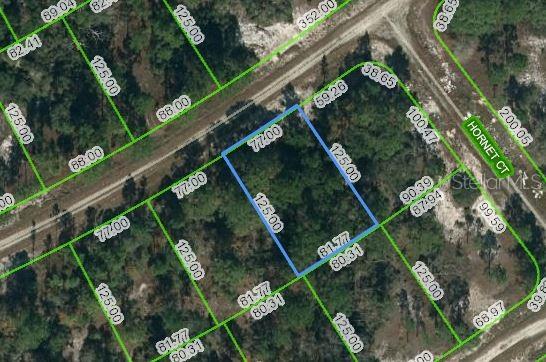 This is an aerial map view of a rectangular vacant lot outlined in blue — 389 SHOWBOAT AVENUE, LAKE PLACID, FL