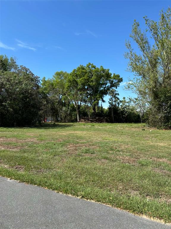 STATE ROAD 19, GROVELAND, FL — photo 4 of 8