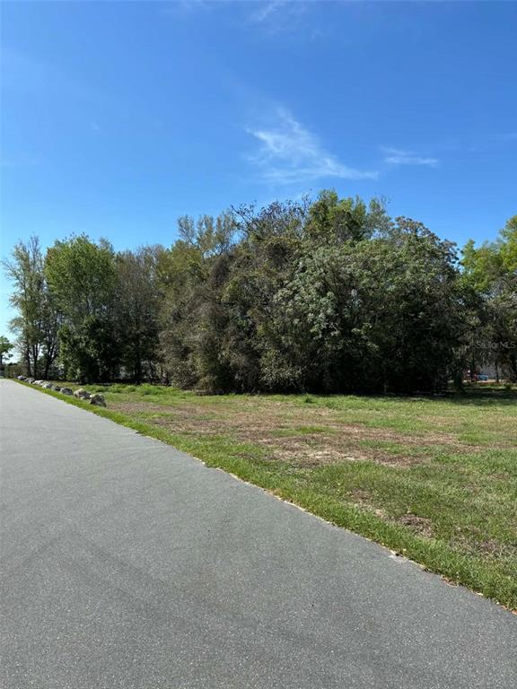 STATE ROAD 19, GROVELAND, FL — photo 5 of 8