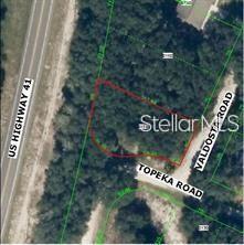 This aerial map shows a wooded, irregularly shaped vacant lot bordered by three roads — 0000 VALDOSTA ROAD, SPRING HILL, FL