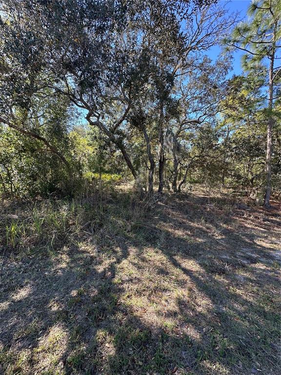 A wooded lot with scattered trees and patches of grass under a clear blue sky — 7 SWEETBAY COURT, HOMOSASSA, FL