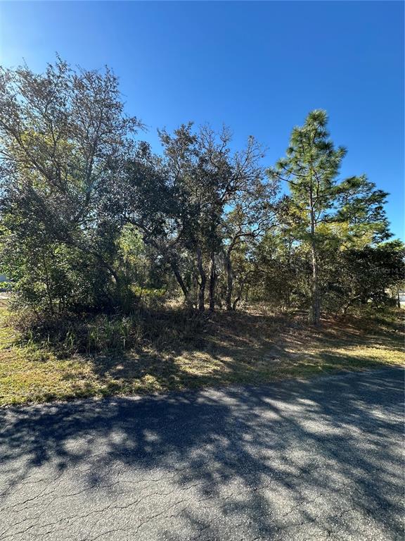 A view of a wooded, undeveloped lot from an adjacent paved road — 7 SWEETBAY COURT, HOMOSASSA, FL