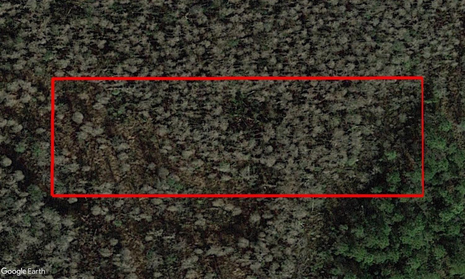 An aerial view shows a rectangular plot of land covered in sparse vegetation and trees — 0 Old Grade Road, FL 33868, FL