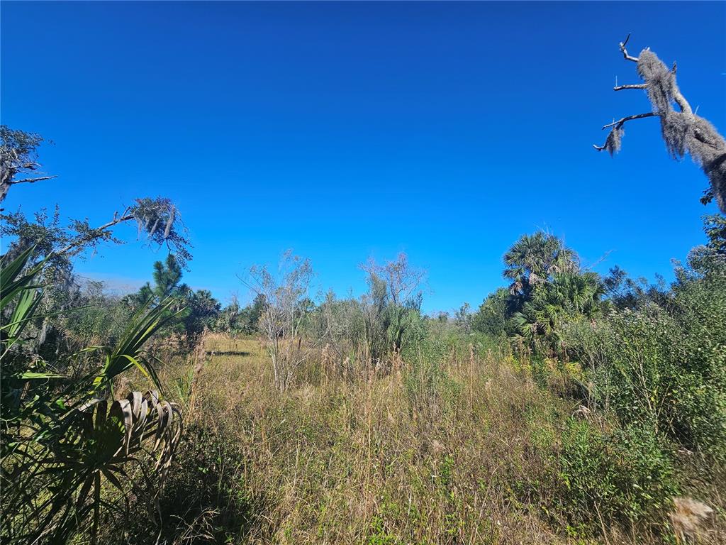 A view of a grassy, undeveloped lot with scattered trees and shrubs under a blue sky — 786 FORT FLORIDA ROAD, DEBARY, FL