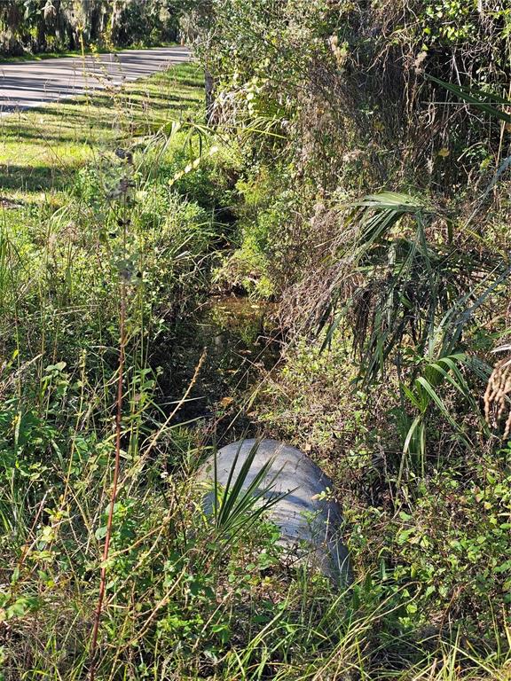 A concrete drainage pipe sits in a grassy ditch beside a paved road — 786 FORT FLORIDA ROAD, DEBARY, FL