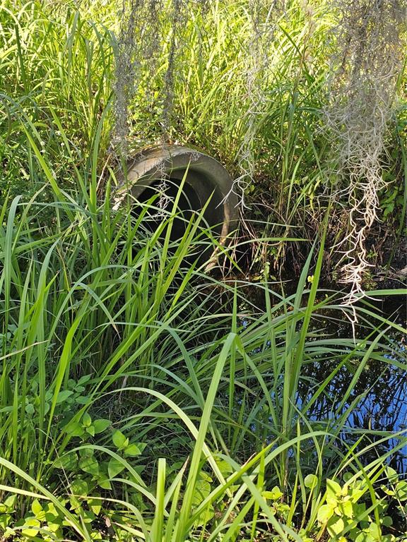 A concrete drainage pipe is partially obscured by tall grasses and hanging Spanish moss — 786 FORT FLORIDA ROAD, DEBARY, FL