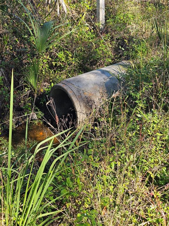 A concrete drainage pipe sits in a grassy, overgrown area near a small pool of water — 786 FORT FLORIDA ROAD, DEBARY, FL