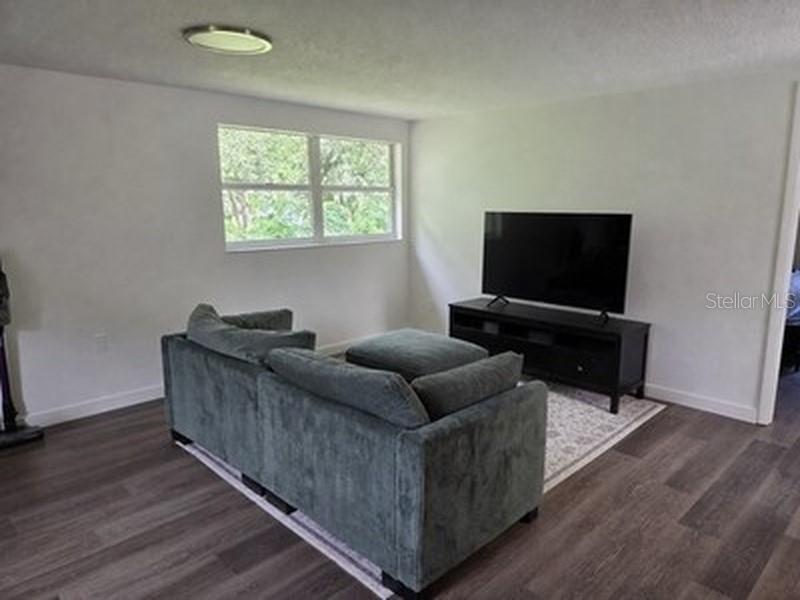 A living room features a grey sofa, a television on a black stand, and wood-look flooring — 3425 HOLLAND DRIVE, BRANDON, FL
