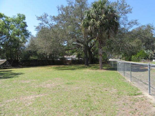 A grassy lot features a chain-link fence and several large trees under a clear sky — SE 102ND COURT RD, SUMMERFIELD, FL